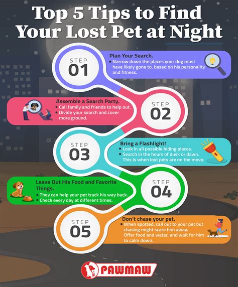 How To Find A Lost Dog At Night