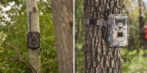 Discovering Trail Cameras on Your Property Made Easy with These Tips