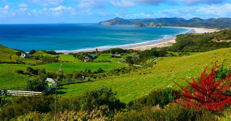 Discover Top Tips and Tricks for Flying Cheap to New Zealand