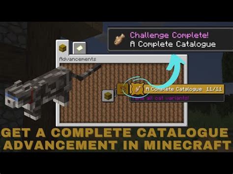 How To Get A Complete Catalogue Minecraft