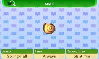 Step-by-Step Guide: How to Catch and Add a Sea Snail to Your Animal Crossing Collection