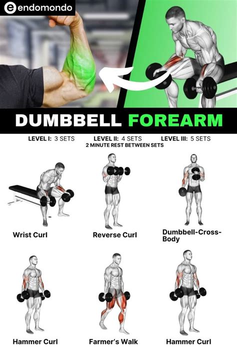 How To Get Big Forearms With Dumbbells