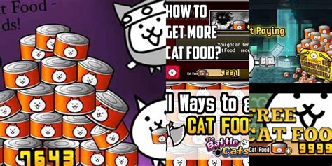 How To Get Cat Food Fast In Battle Cats in 10 ways