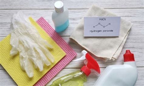 Save Your Home from Disgusting Odors: Learn How to Banish Cat Pee Smell from Your Couch!