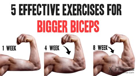 How To Get Huge Biceps In 2 Weeks