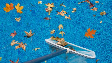 How To Get Leaves Out Of Pool