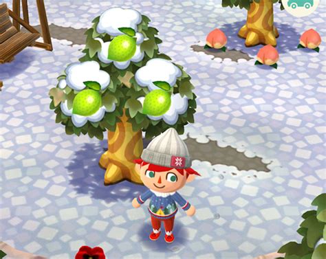 Discover the Ultimate Guide on How to Get Lychee in Animal Crossing like a Pro!