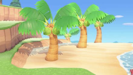 Discover How To Add Palm Trees To Your Animal Crossing Island With Our Easy Guide