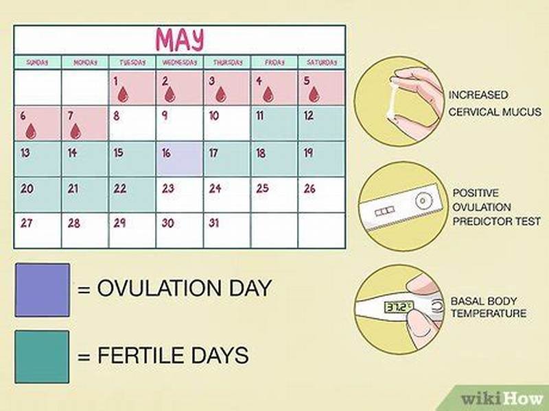 How To Get Pregnant Using Calendar Method