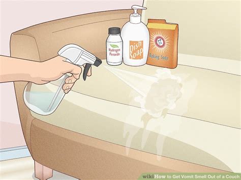 Revive Your Couch with This Simple Trick to Eliminate That Terrible Vomit Smell