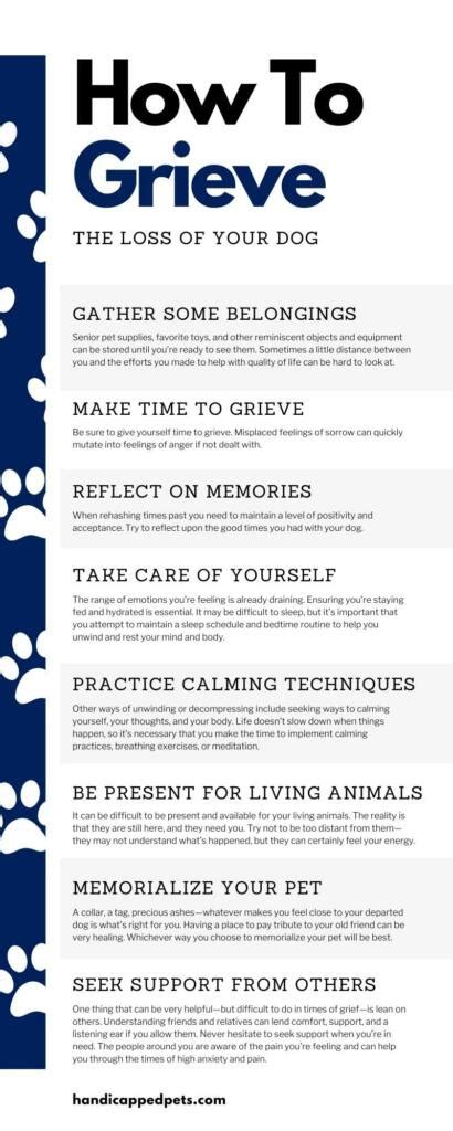 How To Grieve Loss Of Dog