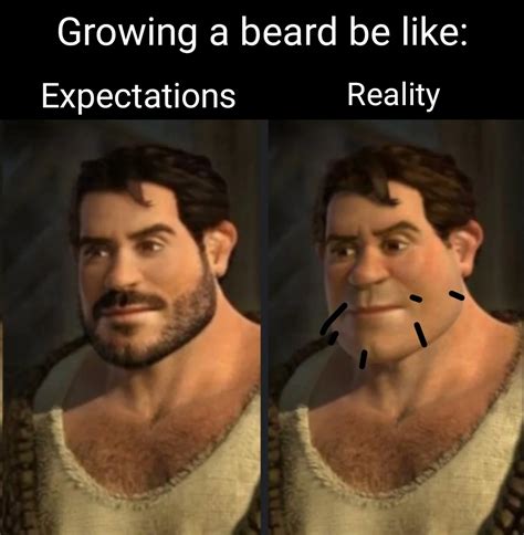 How To Grow A Beard Meme
