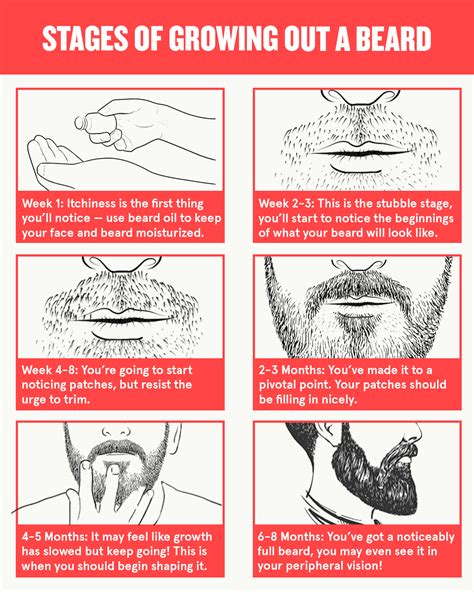 How To Grow Your Beard
