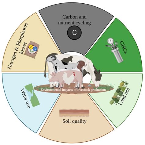 How To Have Clear Lag Not Affect Animal Farming