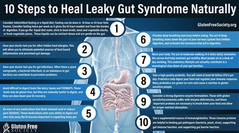 How To Heal A Leaky Gut Naturally