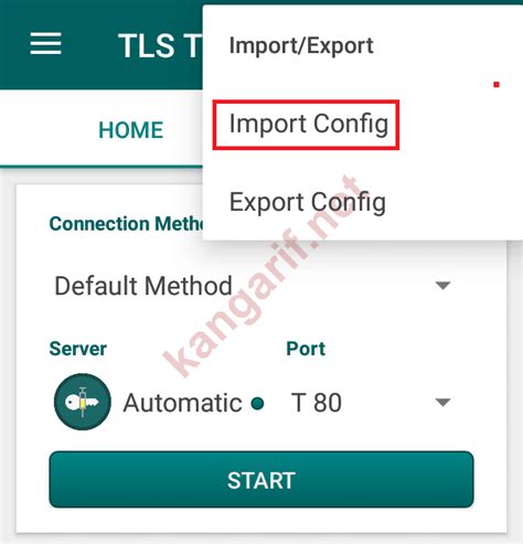 How To Import TLS Tunnel Config File