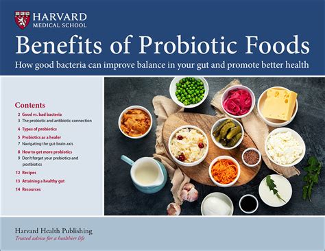 How To Improve Digestion With Probiotic-Rich Foods