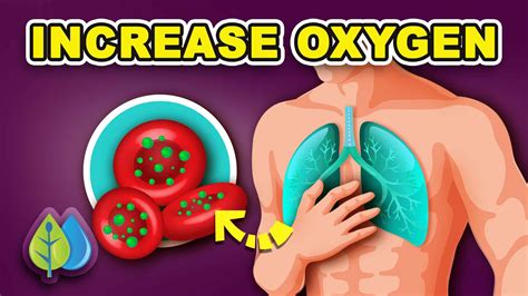 How To Increase Oxygen In The Blood