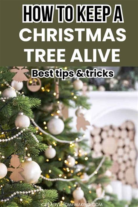 How To Keep A Christmas Tree Alive