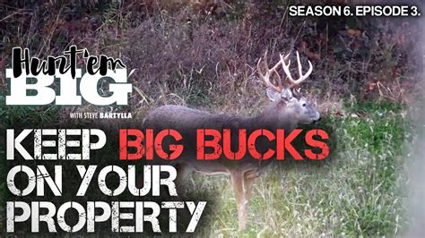 Unlock the Secrets: Learn How to Maintain a Thriving Buck Population on Your Property