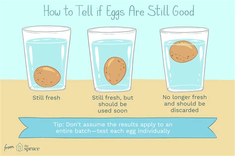 How To Know If Eggs Are Still Good
