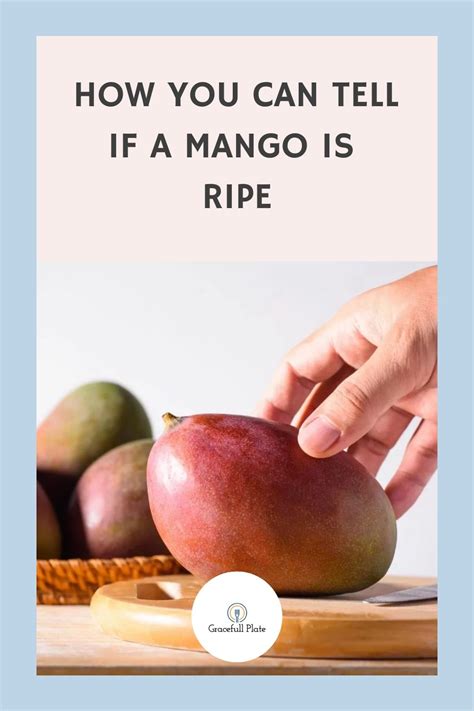 Expert Tips: Learn How to Tell When A Mango is Ripe and Ready to Eat!