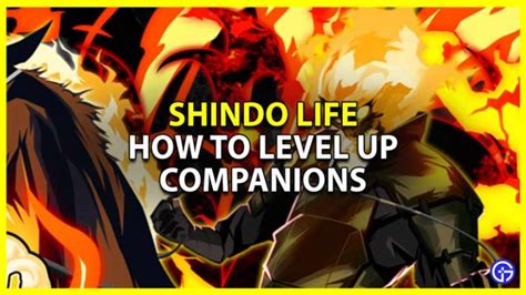 How To Level Up Companions In Shindo Life - Gamer Tweak