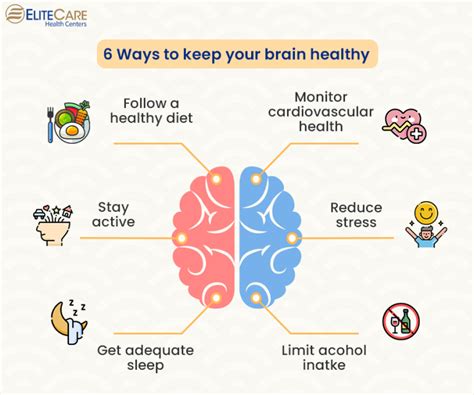 How To Maintain Brain Health As You Age