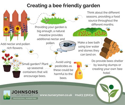 How To Make A Bee    Friendly Garden