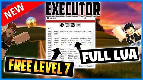 How To Make A Level 7 Roblox Executor/Exploit! (RobloxHacks API 