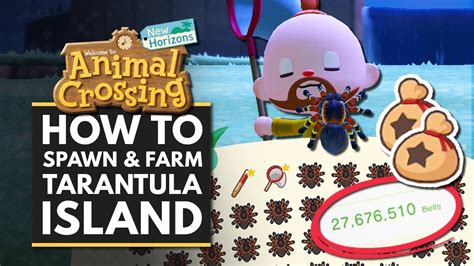 How To Make A Tarantula Farm Animal Crossing