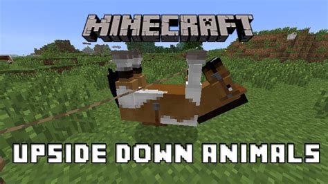 Master the Craft: A Beginner's Guide on How to Make Animal Upside Down in Minecraft