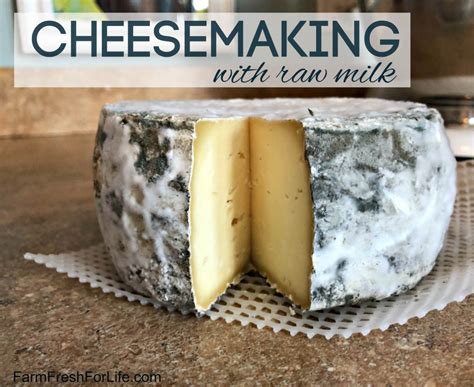 From milk to cheese in 10 minutes without rennet how to make cheese at