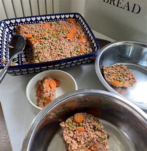 How To Make Dog Food Recipe