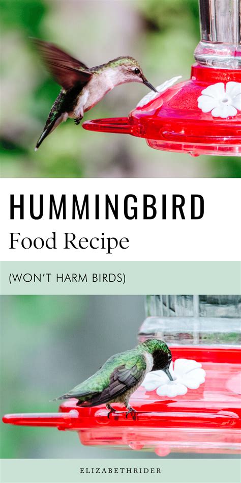 Spread Joy in Your Garden: Learn How to Craft Homemade Hummingbird Nectar