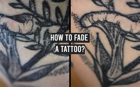 How To Make Tattoo Fade