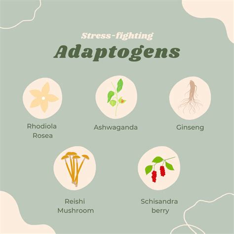 How To Manage High Cortisol Spikes With Adaptogens
