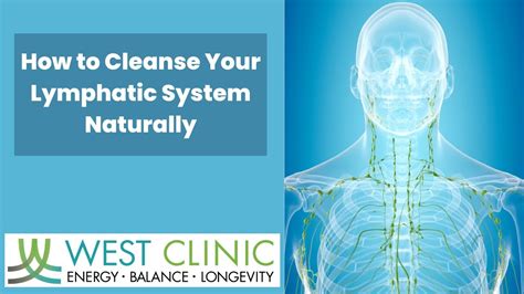 How To Naturally Support Your Lymphatic System
