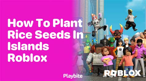 How To Plant Rice Seeds In Islands Roblox