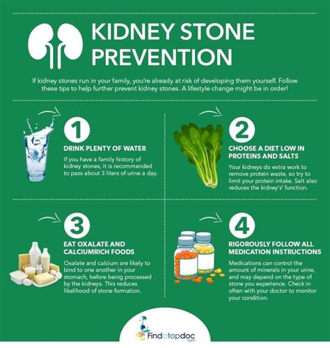 How To Prevent Kidney Stones Through Nutrition