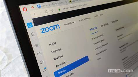 How To Put A Virtual Background On Zoom On Chromebook