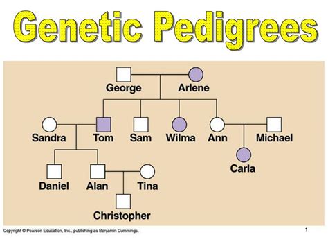 How To Read Pedigree Charts
