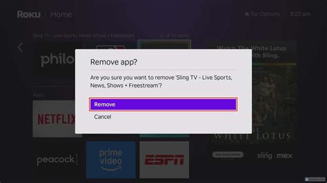 Quick Guide: How to Easily Remove Apps on Roku in Just a Few Steps!