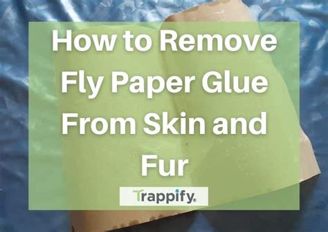 Unstick Yourself: The Ultimate Guide on How to Remove Fly Trap Glue from Your Skin
