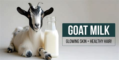 The Ultimate Guide to Perfectly Smooth Goat Skin: Learn How to Effortlessly Remove Hair from Your Skin!