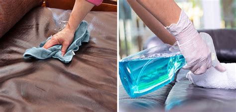 Eliminate the Embarrassment: Neutralize Urine Odor from Your Couch