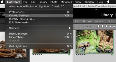 How To Rename A Catalog In Lightroom Cc