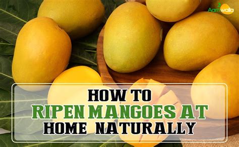 Fast and Easy Tips: How to Ripen Mangoes Quickly at Home