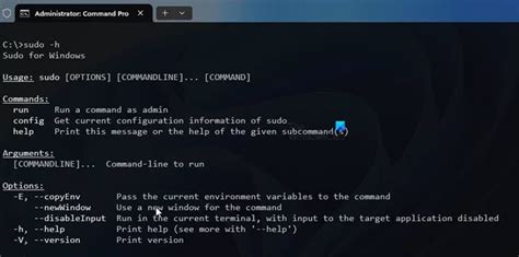How To Run Sudo On Windows