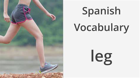 How To Say Leg In Spanish